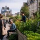 Bonnes nouvelles à Paris : les initiatives positives qui redonnent le sourire